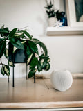 Premium Compact Smart Speaker – Matte White
