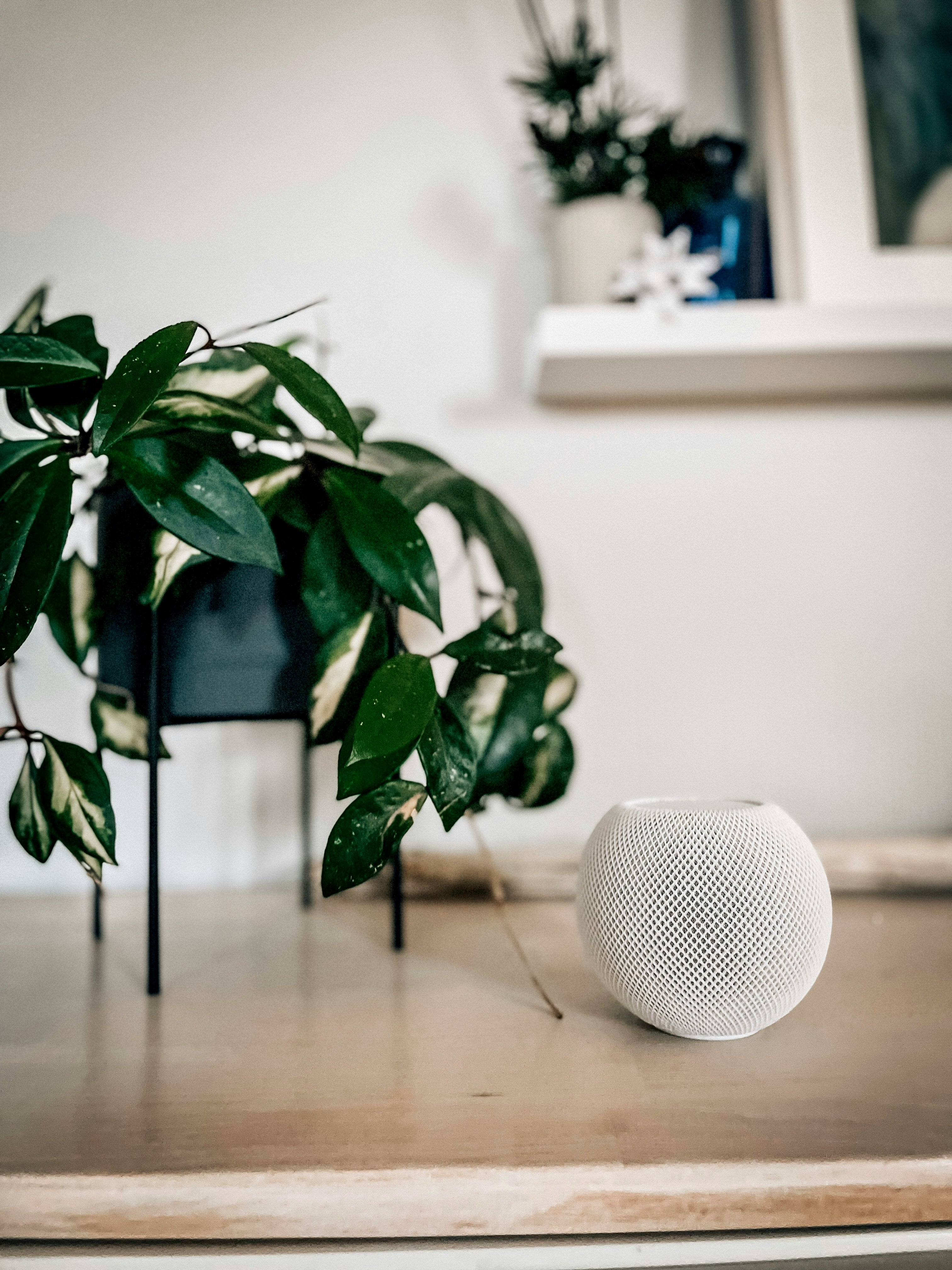 Premium Compact Smart Speaker – Matte White